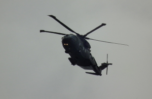 Министр пообещал наказать людей, ослепивших лазером пилотов вертолета