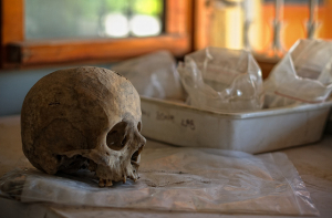 В Бресте найдены останки сотен жертв Холокоста