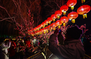В Китае обрушился мост с туристами