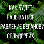 Анекдоты — новые, лучшие, смешные, свежие (15 штук)