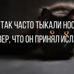 Анекдоты смешные до слез в понедельник