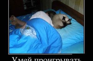 Демотиватор, новые и смешные