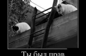 Демотиваторы и мемы - лучше за месяц