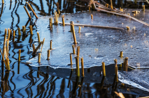 Установлен рекорд! Самое теплое 16 февраля в истории Латвии