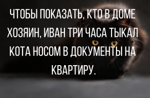Очень смешные анекдоты на разные темы от 4 февраля