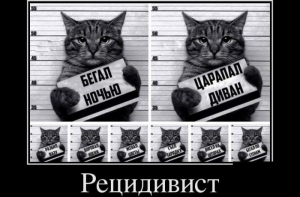 Свежие демотиваторы и мемы (17 шт)