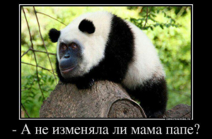 Свежая порция демотиваторов 2019 года