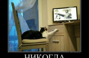 Демотиваторы в картинках