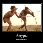 Подборка демотиваторов подборка (16 шт)