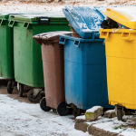 В Mežavairogi трупы животных хранились в мусорных контейнерах с прошлого года