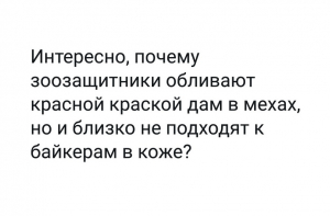 Смешные картинки и мемы из сети