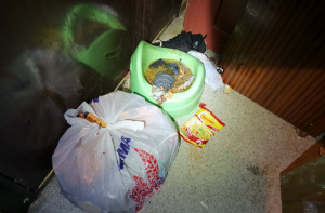 Оголенные провода и антисанитария: в Чиекуркалнсе у семьи забрали детей