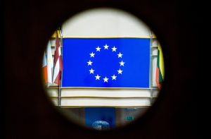 «Икона и символ»: Ушакову прочат кресло евродепутата