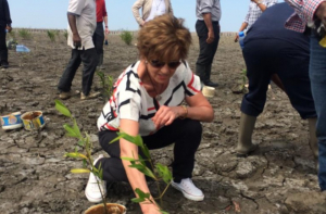 Вайдере раскритиковали за «заботу» о Южной Америке