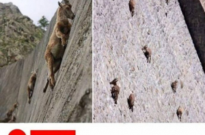 Переписка в соц сетях от людей с тонким чувством юмора