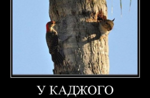 Демотиваторов сборник (11 шт)