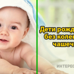 10 удивительных фактов, которые являются чистой правдой
