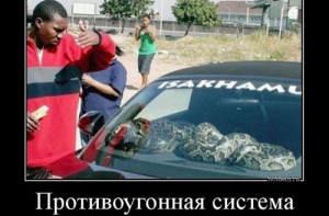 Свежие демотиваторы 2019 года