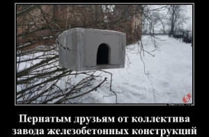 Демотиваторы для хорошего настроения (16 фото)