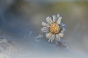 Весна еще не определилась: cегодня -10, в пятницу уже +10