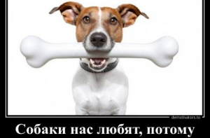 Очередной сборник прикольных демотиваторов (12 фото)