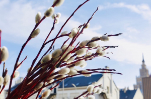 В пятницу ожидается солнечная и ветреная погода