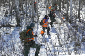 В лесу найдено тело пропавшей 42-летней женщины