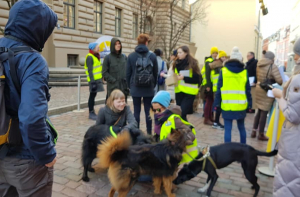 «Это не живые игрушки!» У Сейма прошел пикет в защиту животных из приютов
