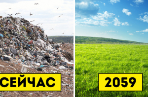 Ученые обнаружили червей, поедающих пластик. И это замечательные новости для нашей планеты