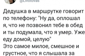 12 забавных случая из жизни в переписках и твитах