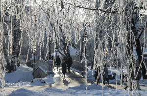 Опять зима? Соцсети заполнили фотографиями мартовского снега