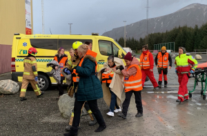 Viking Sky: спасатели запустили три из четырех двигателей норвежского лайнера