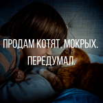 Анекдоты и черный юмор