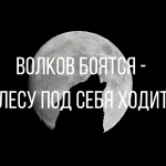 Анекдоты: лучшие, смешные, новые