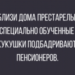 Анекдоты с перчиком