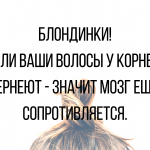 Лучшие анекдоты про блондинок
