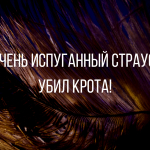 Новые смешные анекдоты