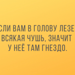 Новые смешные анекдоты в пятницу