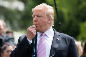 Трамп пожаловался главе Twitter на сокращение числа своих подписчиков