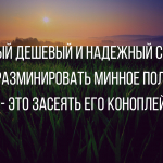 15 анекдотов для настроения