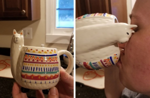 20 безумных вещей, которые вызывают вопросы к их создателям