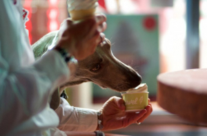 Фотоподборка дня!