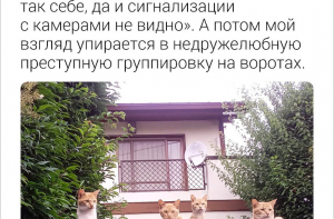 25 твитов о жизни русской в Японии