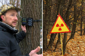 Биолог  установил в Чернобыле фотоловушки и показал, кто там обитает