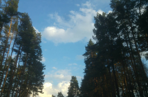 В среду в Латвии станет еще теплее