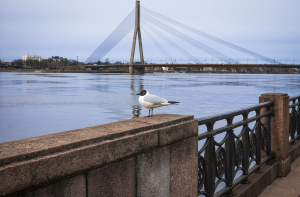Реэмигрант: зарплата не так важна, главное - не испытывать в Латвии одиночество