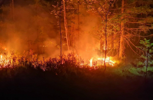 В Вилянском крае горит лес: жителей просят закрыть окна и двери