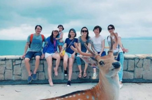 Весёлые фотобомбы (22 шт)