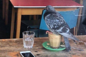 Субботний пост приколов (21 шт)