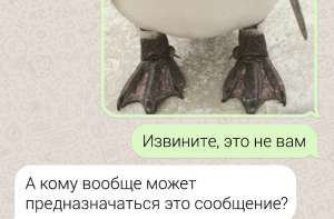 Самые неловкие сообщения, которые радуешься, что получатель не ты